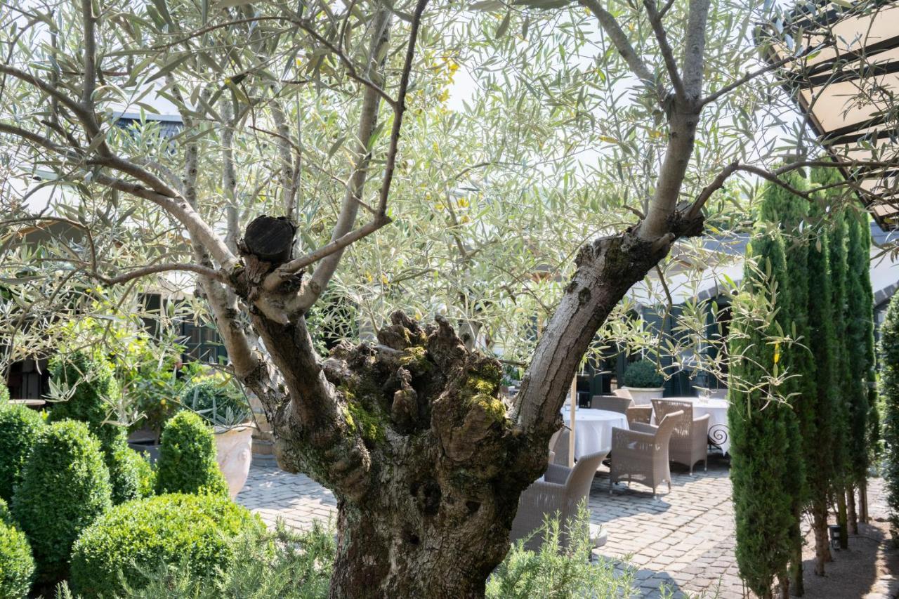 Kröv Wein Und Landhaus Kallfels מראה חיצוני תמונה
