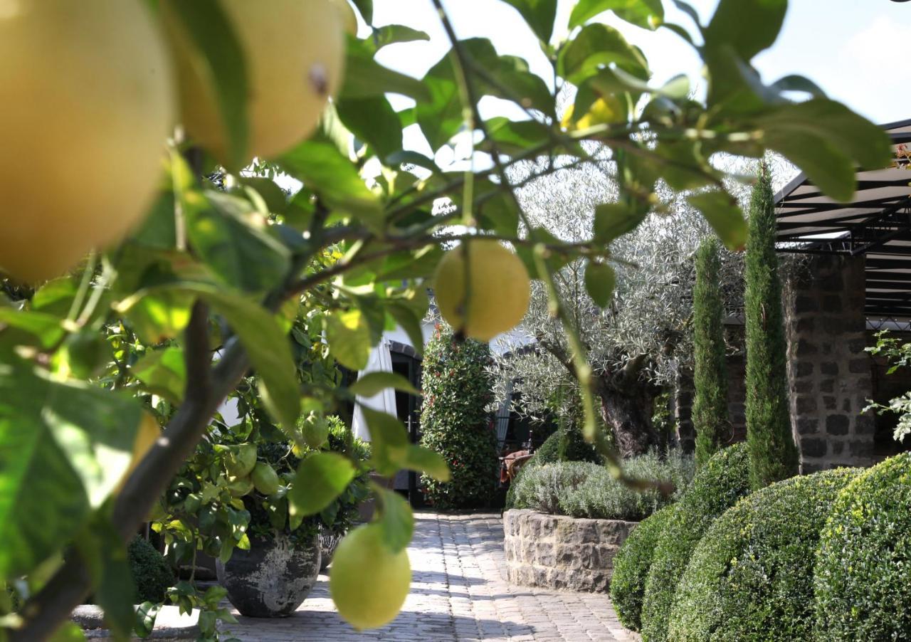 Kröv Wein Und Landhaus Kallfels מראה חיצוני תמונה
